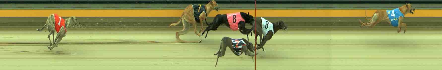 Race result finish photo